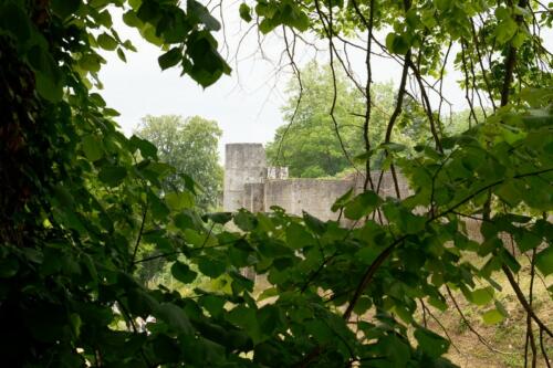 Bouquet-Gisors-2022-by-Philippe-083